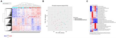 Do neutrophil extracellular traps implicate in atheromatous plaques from carotid endarterectomy? Re-analyzes of cDNA microarray data by surgeons